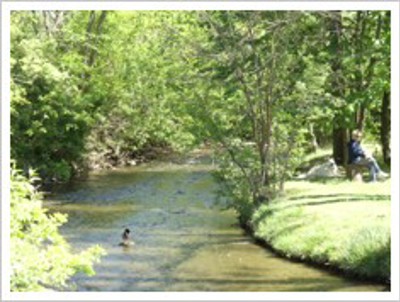 Shiawassee Park