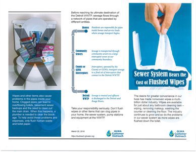 Wipes in Toilet Flyer